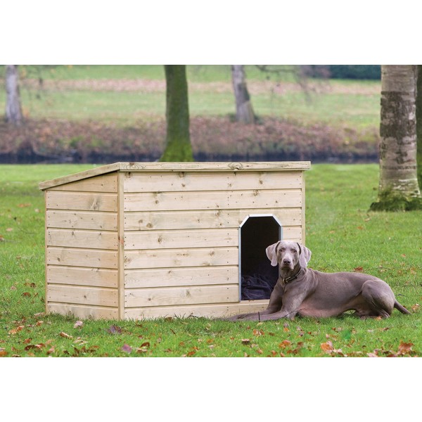 Hondenverblijf Teckel