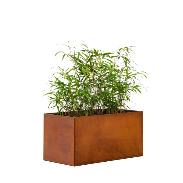 Bloembak cortenstaal Hudson 60 x 120 x 60 cm