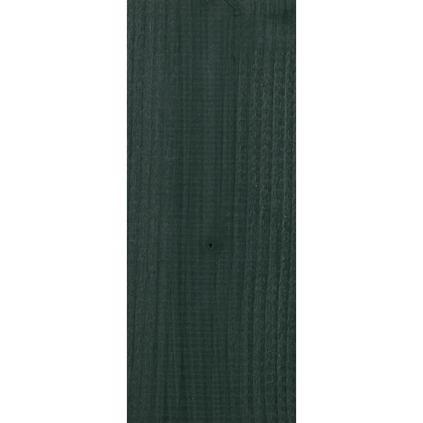 Carefree Protect Groen 2,5 ltr